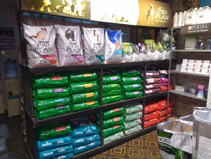 Clinica Veterinaria Di Salvo