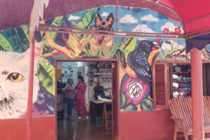 Clínica Veterinaria La Mascota