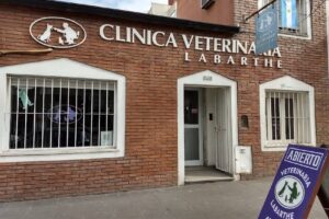 Clínica Veterinaria Labarthe