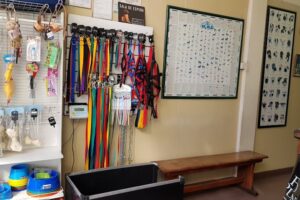 Clínica Veterinaria Perro Mundo