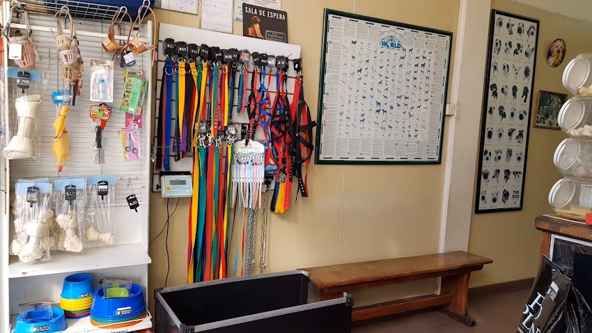 Clínica Veterinaria Perro Mundo