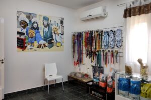 Clínica Veterinaria Salud Animal