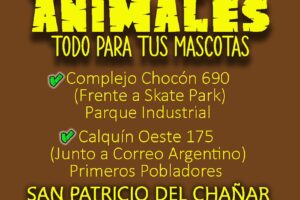 Club De Animales