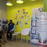 Club de las mascotas