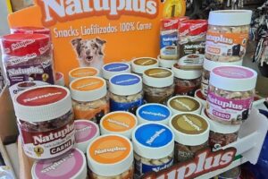 Como Perro y Gato floresta