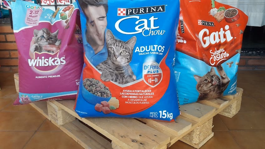 Como perros y gatos