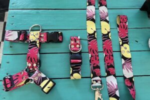 Con Alma De Perro Pet Shop