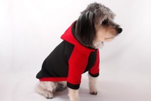 Confecciones Pelusita