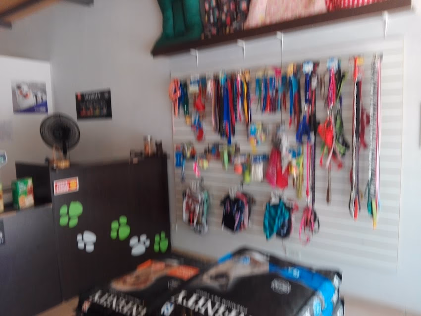 Coquets Veterinaria Peluqueria Canina Pet Shop