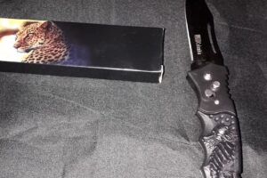 Correajes y correas para mascotas Alika Ain