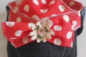 Creaciones Dominic Ropa Para Mascotas