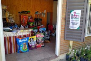 Cuatro Patas Balanceados