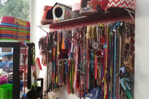 Cucha Cucha Pergamino