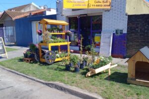 Cuchu Bulls Pet shop