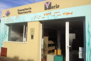 Cvm Consultorio Veterinario Merlo