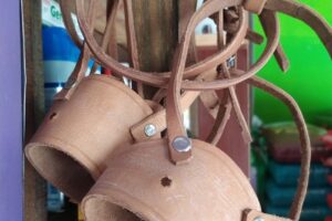 D4patas Tienda De Mascotas Alimentos Balanciados