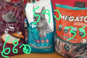 Dog Pet Bakery Boutique