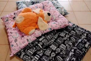 DPelos Pet Shop y Estética Canina