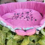 Dame la Patita Pet Shop