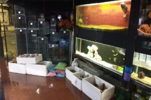 Del Nonno Aquario Sucursal Barracas