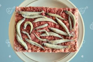 Deli Barf Patagonia Alimento natural para perros y gatos Viandas congeladas y snacks saludables