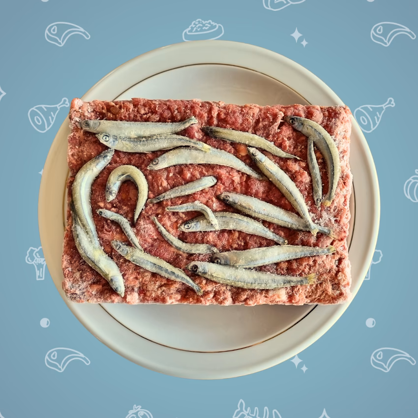 Deli Barf Patagonia Alimento natural para perros y gatos Viandas congeladas y snacks saludables