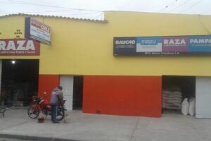 Depósito Chile de Di Salvo Hns