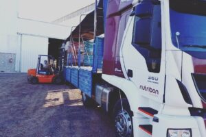 Distribuidora Aurora