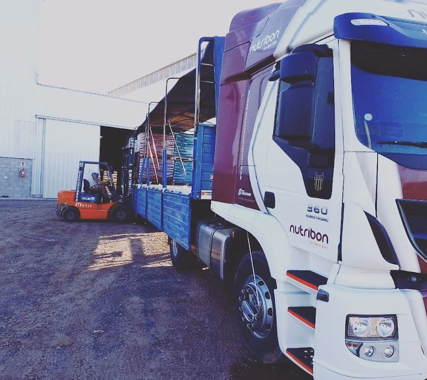 Distribuidora Aurora