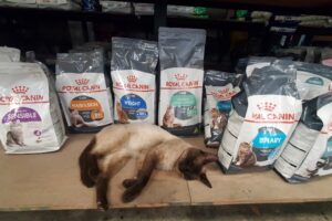 Distribuidora Bonanzza