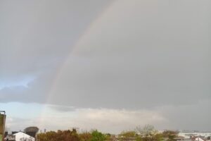 Distribuidora Forcan