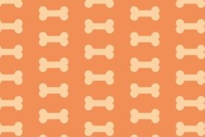 Distribuidora Myg Alimento para mascotas