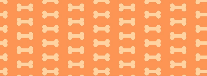 Distribuidora Myg Alimento para mascotas