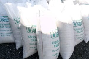 Distribuidora Ochoita