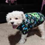 Distribuidora PeGa Srl