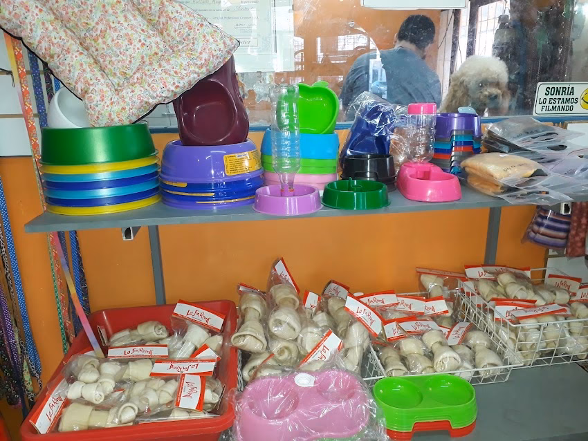 Dog Wash Peluqueria Canina Pets Shop