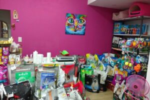 Don BigotesAlmacen para mascotas