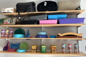 Don Boston pet store