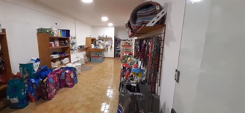 Don Cato y Sus Mascotas