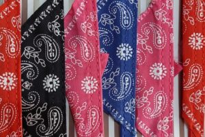 Don Felix Forrajeria