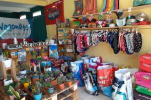 Don Orlando Tienda de Mascotas Forrajeria Vivero