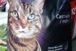 Don Salchicha Pet Shop