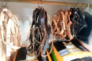 DonCan Ushuaia Petshop