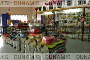 Dunamis