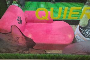 Ecologia Veterinaria y Pet Shop