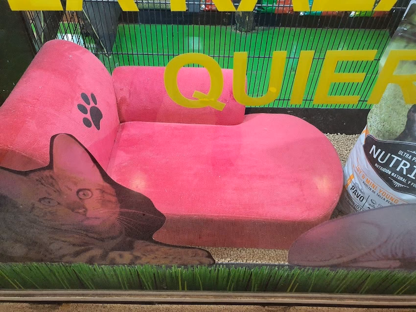 Ecologia Veterinaria y Pet Shop