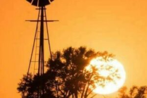 El Alba Agroveterinaria