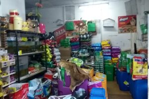 El Arca de su Mascota