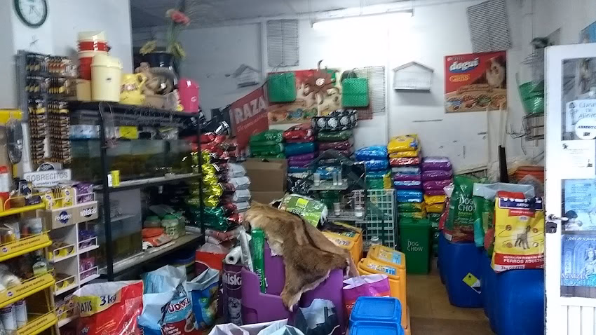 El Arca de su Mascota