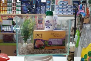 El Arte de Las Mascotas Pet Shop Acuario Y Forrajeria